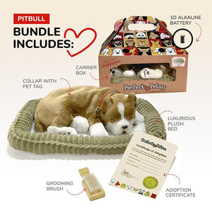 Perfect Petzz- Pit Bull