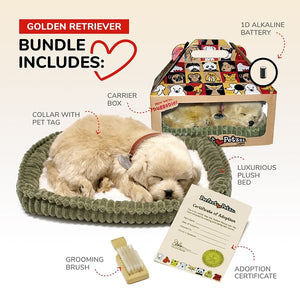 Perfect Petzz- Golden Retriever