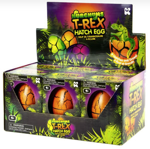 T-Rex Hatching Eggs