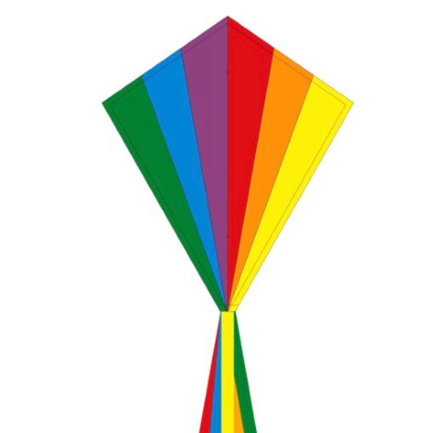 Ecoline 28 inch Kites