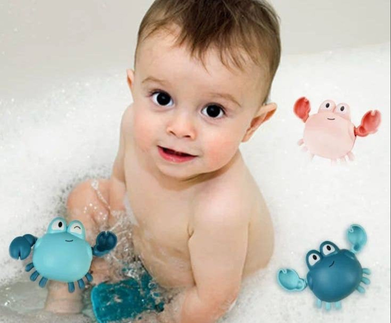 Swimming Sea Creatures