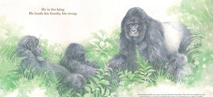 He Leads - Mountain Gorilla, The Gentile Giant