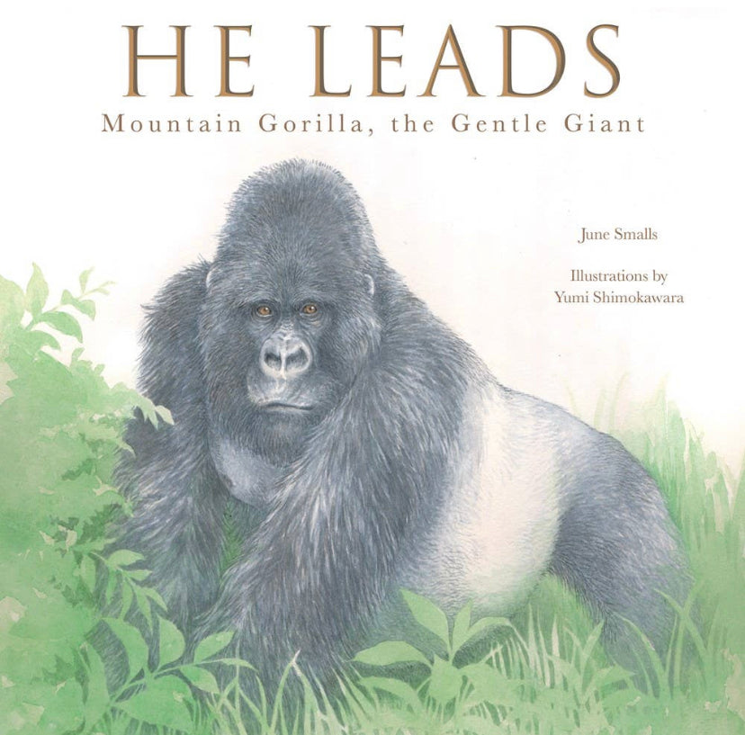 He Leads - Mountain Gorilla, The Gentile Giant