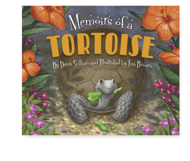 Memories of a Tortoise