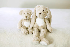 Teddy Bear, grey 11”
